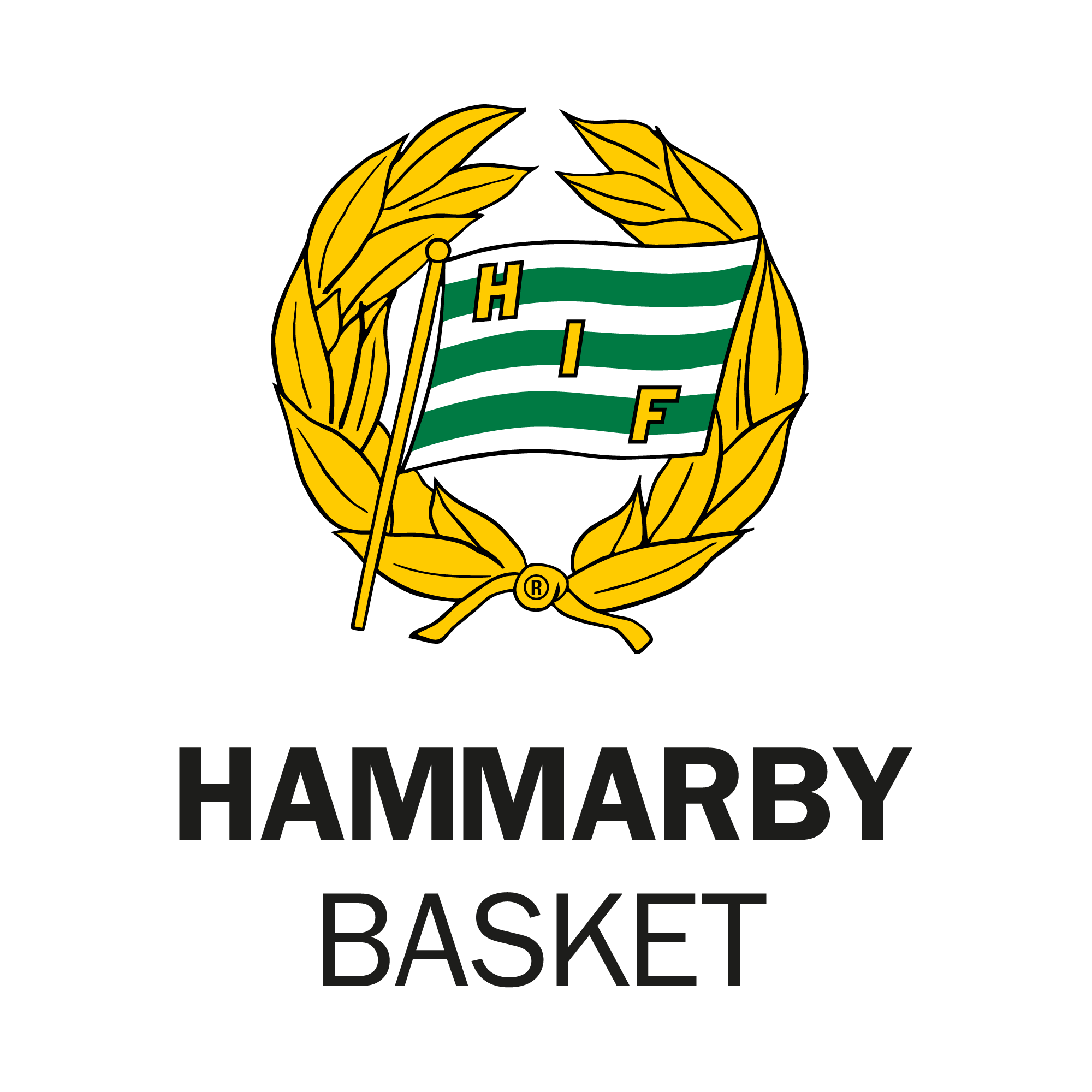 Hammarby Basket